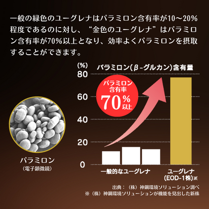 ≪機能性表示食品≫ 白鶴酒造の酒粕ユーグレナ 50粒入（10日分）